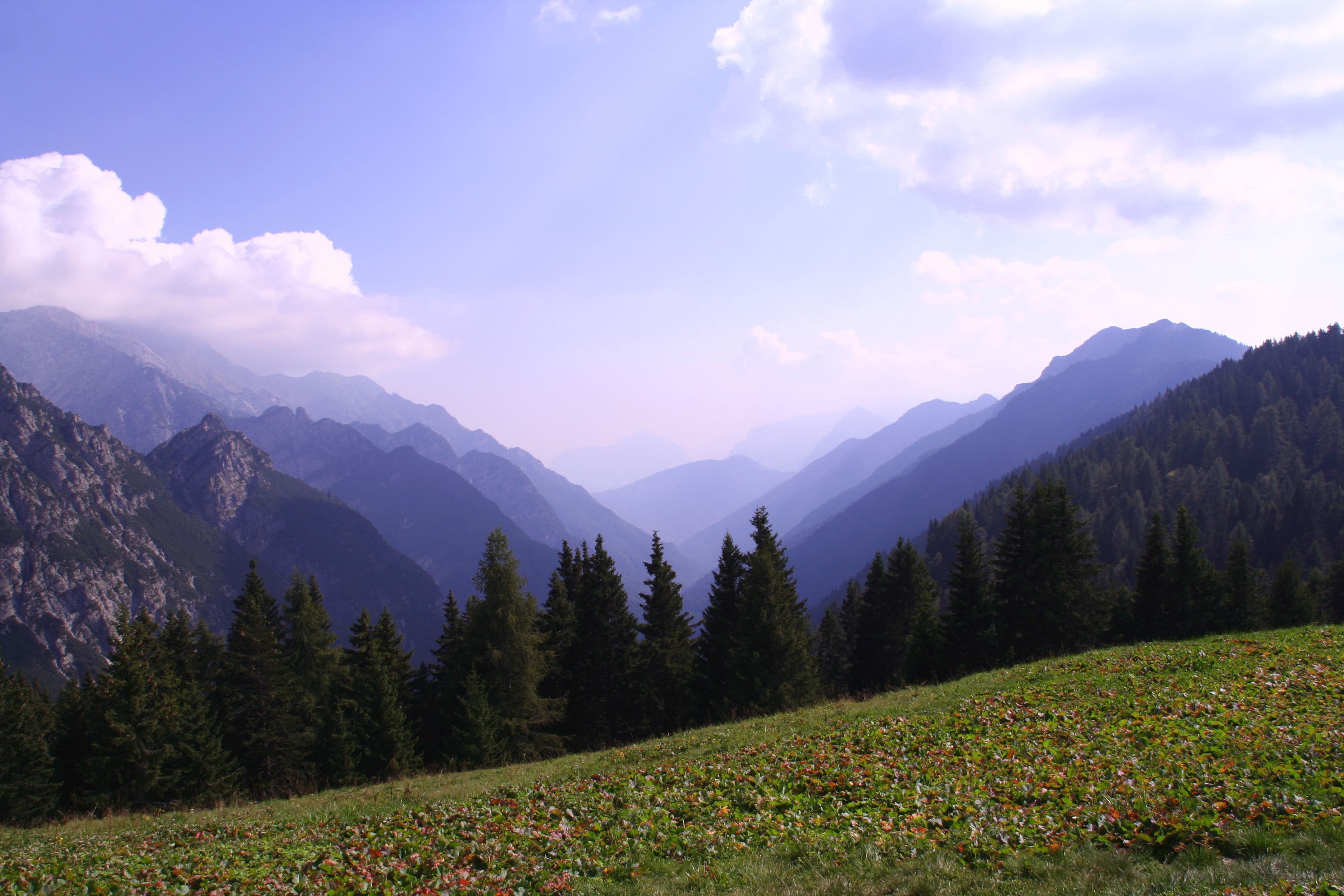 Val d'Algone